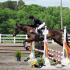Holly Hills Horse Trials